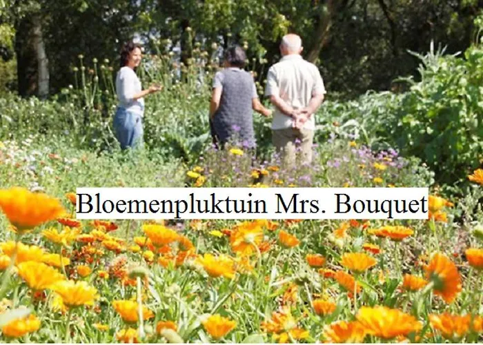 Apartment Herkenhoek 3 Bedroom Heeswijk-Dinther